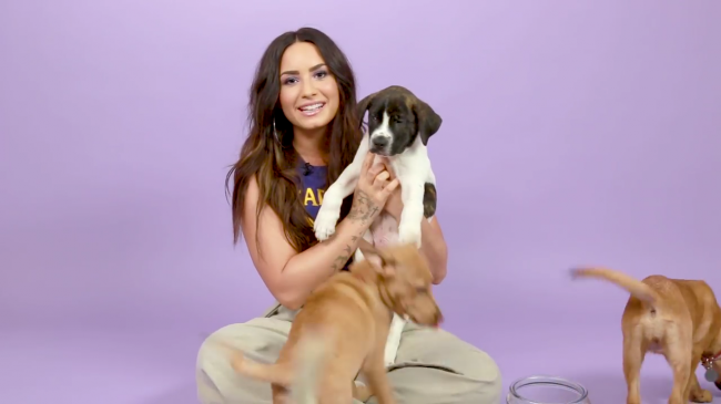 Demi_Lovato_Plays_With_Puppies_28While_Answering_Fan_Questions295Bvia_torchbrowser_com5D_mp40383.png