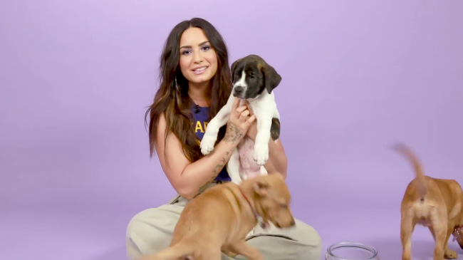 Demi_Lovato_Plays_With_Puppies_28While_Answering_Fan_Questions295Bvia_torchbrowser_com5D_mp40385.png