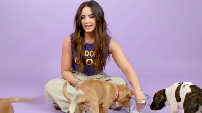 Demi_Lovato_Plays_With_Puppies_28While_Answering_Fan_Questions295Bvia_torchbrowser_com5D_mp40657.png