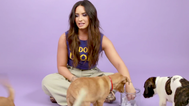 Demi_Lovato_Plays_With_Puppies_28While_Answering_Fan_Questions295Bvia_torchbrowser_com5D_mp40663.png