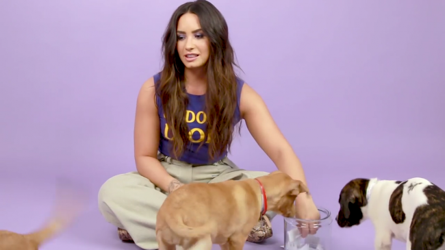 Demi_Lovato_Plays_With_Puppies_28While_Answering_Fan_Questions295Bvia_torchbrowser_com5D_mp40664.png