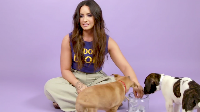 Demi_Lovato_Plays_With_Puppies_28While_Answering_Fan_Questions295Bvia_torchbrowser_com5D_mp40680.png