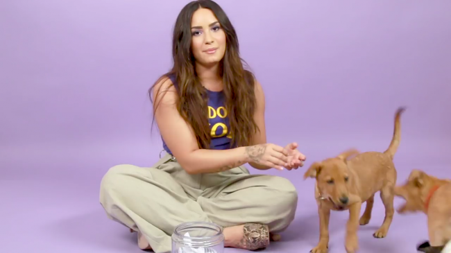 Demi_Lovato_Plays_With_Puppies_28While_Answering_Fan_Questions295Bvia_torchbrowser_com5D_mp410361.png