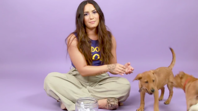 Demi_Lovato_Plays_With_Puppies_28While_Answering_Fan_Questions295Bvia_torchbrowser_com5D_mp410362.png