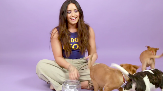Demi_Lovato_Plays_With_Puppies_28While_Answering_Fan_Questions295Bvia_torchbrowser_com5D_mp410385.png