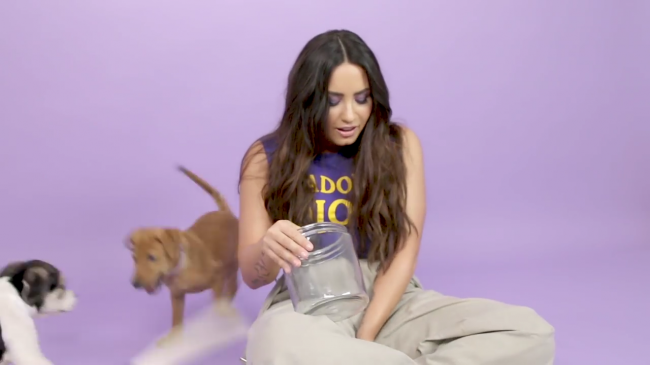 Demi_Lovato_Plays_With_Puppies_28While_Answering_Fan_Questions295Bvia_torchbrowser_com5D_mp410489.png