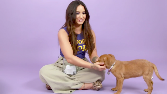 Demi_Lovato_Plays_With_Puppies_28While_Answering_Fan_Questions295Bvia_torchbrowser_com5D_mp41391.png