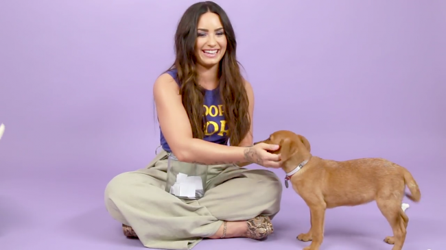 Demi_Lovato_Plays_With_Puppies_28While_Answering_Fan_Questions295Bvia_torchbrowser_com5D_mp41409.png