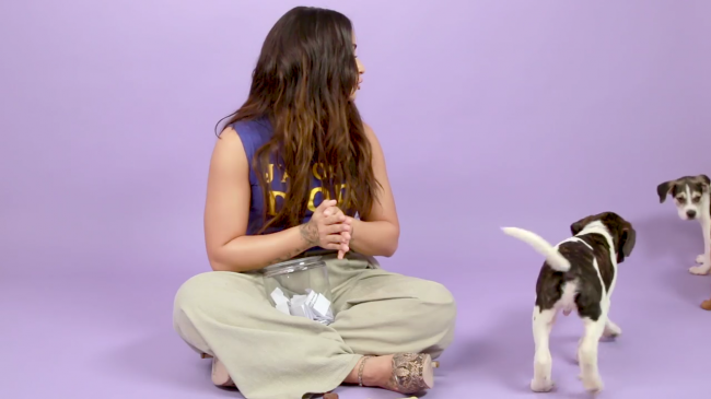 Demi_Lovato_Plays_With_Puppies_28While_Answering_Fan_Questions295Bvia_torchbrowser_com5D_mp42024.png