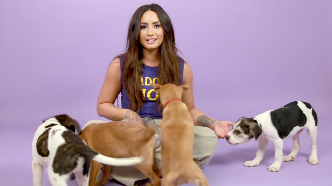 Demi_Lovato_Plays_With_Puppies_28While_Answering_Fan_Questions295Bvia_torchbrowser_com5D_mp43288.png