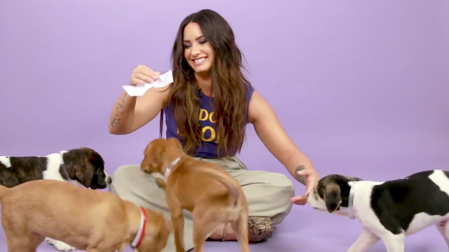Demi_Lovato_Plays_With_Puppies_28While_Answering_Fan_Questions295Bvia_torchbrowser_com5D_mp43561.png