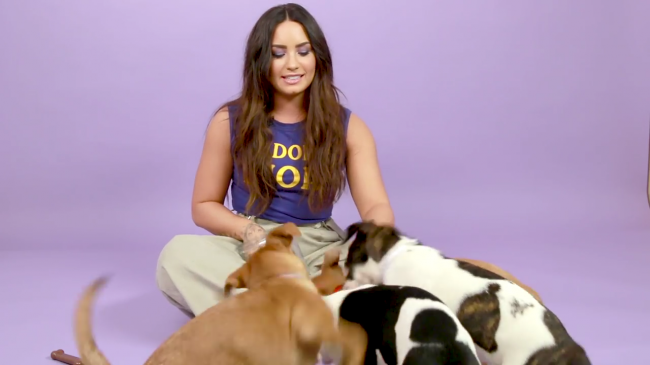 Demi_Lovato_Plays_With_Puppies_28While_Answering_Fan_Questions295Bvia_torchbrowser_com5D_mp44032.png