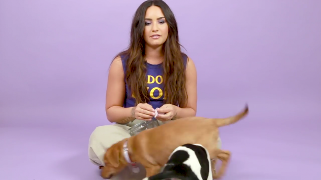 Demi_Lovato_Plays_With_Puppies_28While_Answering_Fan_Questions295Bvia_torchbrowser_com5D_mp44305.png
