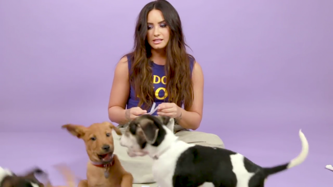 Demi_Lovato_Plays_With_Puppies_28While_Answering_Fan_Questions295Bvia_torchbrowser_com5D_mp45112.png
