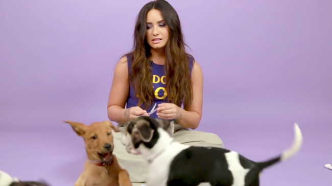 Demi_Lovato_Plays_With_Puppies_28While_Answering_Fan_Questions295Bvia_torchbrowser_com5D_mp45113.png