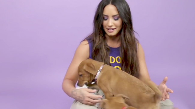 Demi_Lovato_Plays_With_Puppies_28While_Answering_Fan_Questions295Bvia_torchbrowser_com5D_mp45688.png