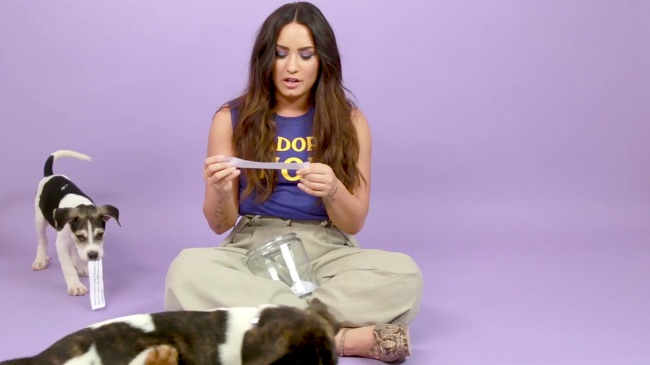Demi_Lovato_Plays_With_Puppies_28While_Answering_Fan_Questions295Bvia_torchbrowser_com5D_mp48138.png