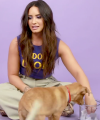 Demi_Lovato_Plays_With_Puppies_28While_Answering_Fan_Questions295Bvia_torchbrowser_com5D_mp40663.png