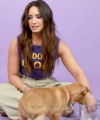 Demi_Lovato_Plays_With_Puppies_28While_Answering_Fan_Questions295Bvia_torchbrowser_com5D_mp40664.png