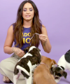 Demi_Lovato_Plays_With_Puppies_28While_Answering_Fan_Questions295Bvia_torchbrowser_com5D_mp43032.png