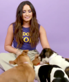 Demi_Lovato_Plays_With_Puppies_28While_Answering_Fan_Questions295Bvia_torchbrowser_com5D_mp44031.png