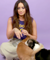 Demi_Lovato_Plays_With_Puppies_28While_Answering_Fan_Questions295Bvia_torchbrowser_com5D_mp44793.png