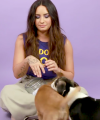 Demi_Lovato_Plays_With_Puppies_28While_Answering_Fan_Questions295Bvia_torchbrowser_com5D_mp44794.png