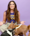 Demi_Lovato_Plays_With_Puppies_28While_Answering_Fan_Questions295Bvia_torchbrowser_com5D_mp47592.png