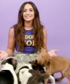 Demi_Lovato_Plays_With_Puppies_28While_Answering_Fan_Questions295Bvia_torchbrowser_com5D_mp47626.png