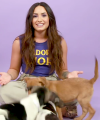 Demi_Lovato_Plays_With_Puppies_28While_Answering_Fan_Questions295Bvia_torchbrowser_com5D_mp47656.png