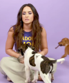 Demi_Lovato_Plays_With_Puppies_28While_Answering_Fan_Questions295Bvia_torchbrowser_com5D_mp48930.png